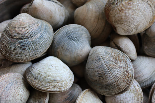 Almejas en aceite